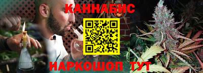 МДПВ Камышлов