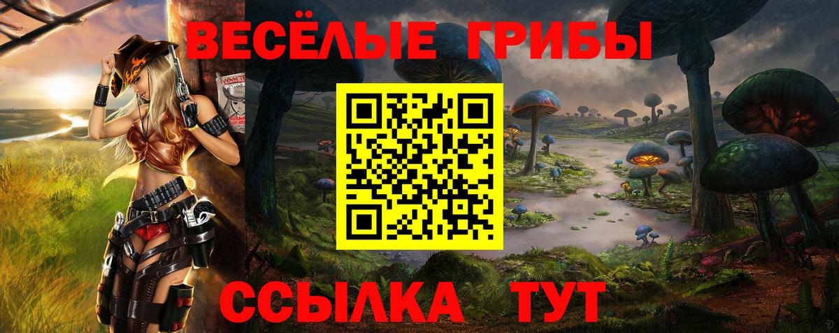 Псилоцибиновые грибы прущие грибы  Вход с VPN  купить   Лыткарино 